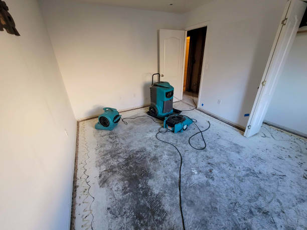 Best Emergency water damage restoration  in Fayetteville, WV
