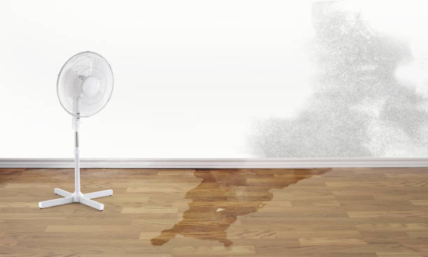 Best Residential water damage restoration  in Fayetteville, WV