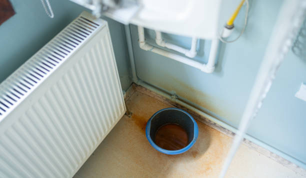 Best Local water damage restoration  in Fayetteville, WV