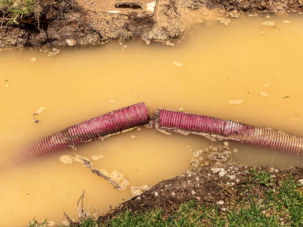 Best Sewage cleanup and water damage restoration  in Fayetteville, WV