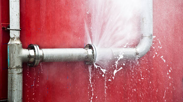 Best Carpet water damage restoration  in Fayetteville, WV